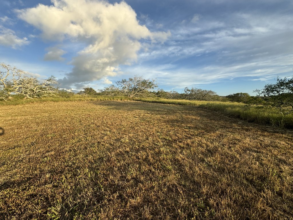 Hawi, Hawaii, 96719, United States, ,Land,Forsale,1886637