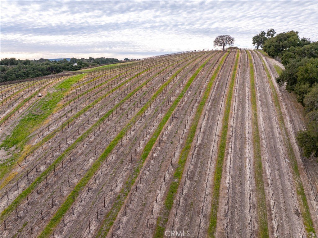 Paso Robles, California, 93446, United States, ,Commercial,Forsale,2009040