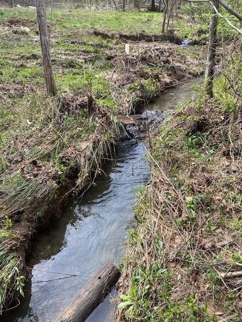 Hilham, Tennessee, 38568, United States, ,Land,Forsale,1999489