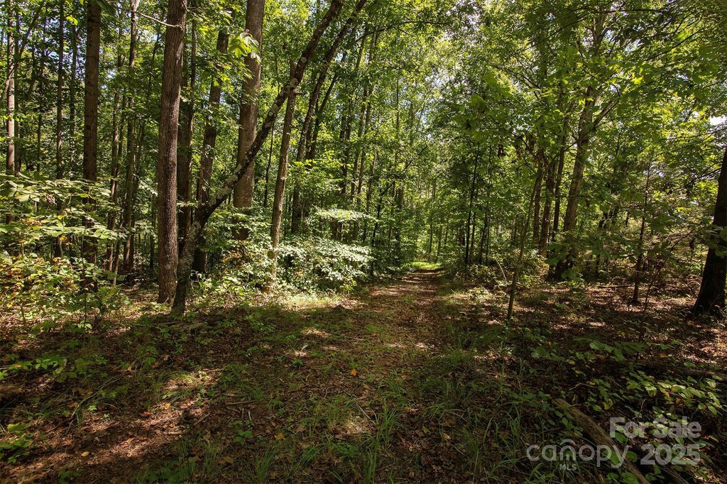 Vale, North Carolina, 28168, United States, 4 Bedrooms Bedrooms, ,1 BathroomBathrooms,Residential,Forsale,1985976