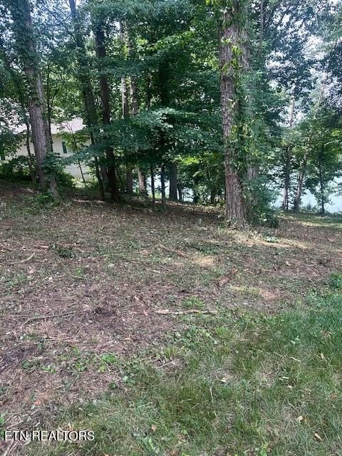 Loudon, Tennessee, 37774, United States, ,Land,Forsale,1893722