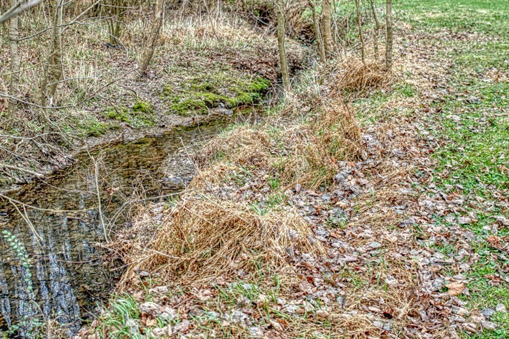 Cookeville, Tennessee, 38506, United States, 3 Bedrooms Bedrooms, ,2 BathroomsBathrooms,Residential,Forsale,2010951