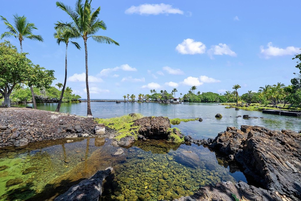 Kamuela, Hawaii, 96743, United States, 2 Bedrooms Bedrooms, ,2 BathroomsBathrooms,Residential,Forsale,1989828