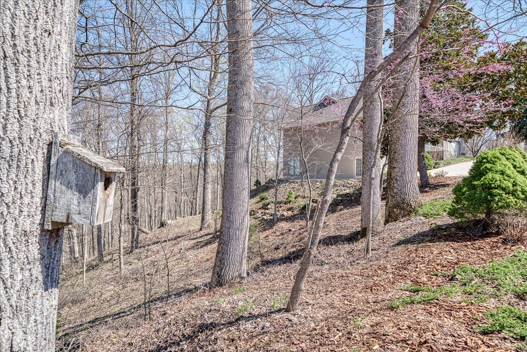 Byrdstown, Tennessee, 38549, United States, 3 Bedrooms Bedrooms, ,3 BathroomsBathrooms,Residential,Forsale,1967348