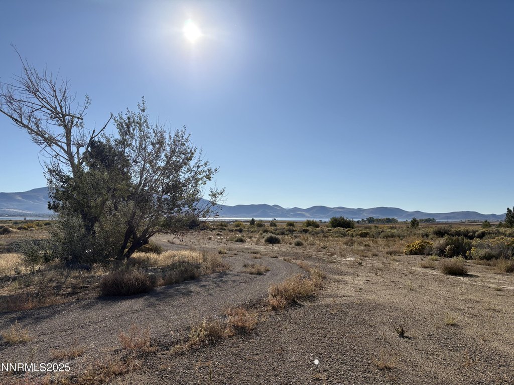 Washoe Valley, Nevada, 89704, United States, ,Land,Forsale,1993792