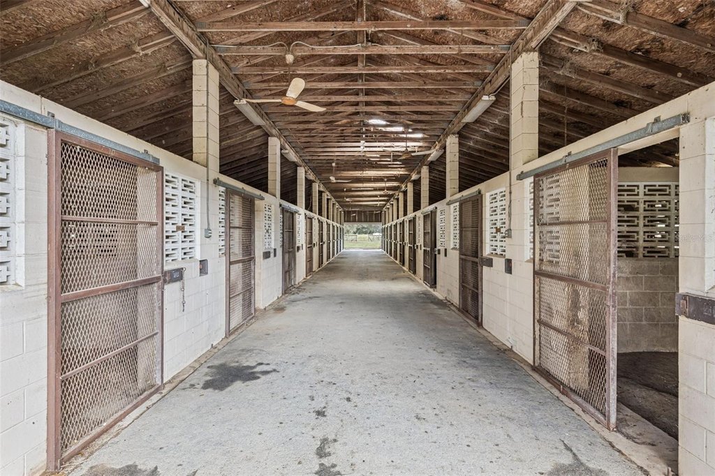 WILLISTON, Florida, 32696, United States, ,Commercial,Forsale,2004593