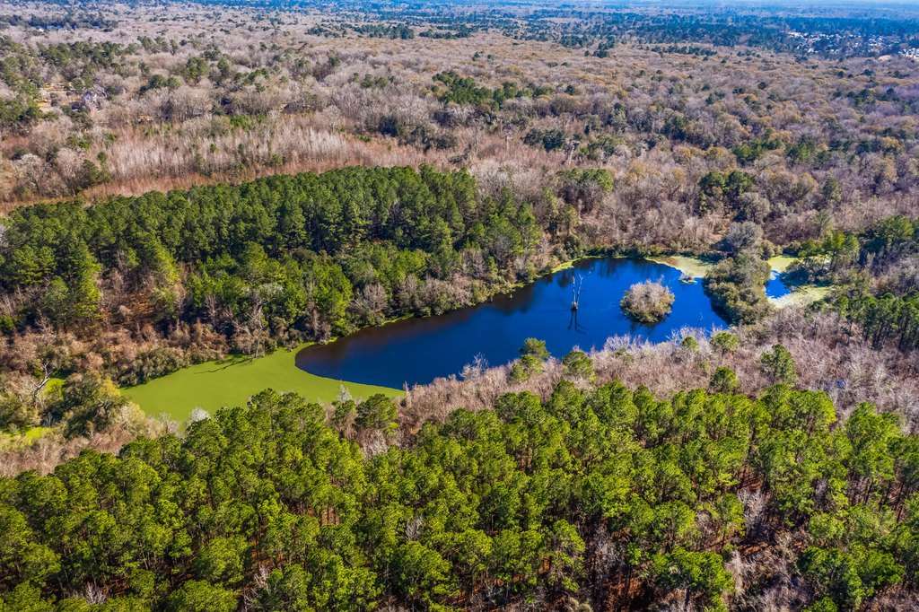 Summerville, South Carolina, 29485, United States, ,Land,Forsale,1883814