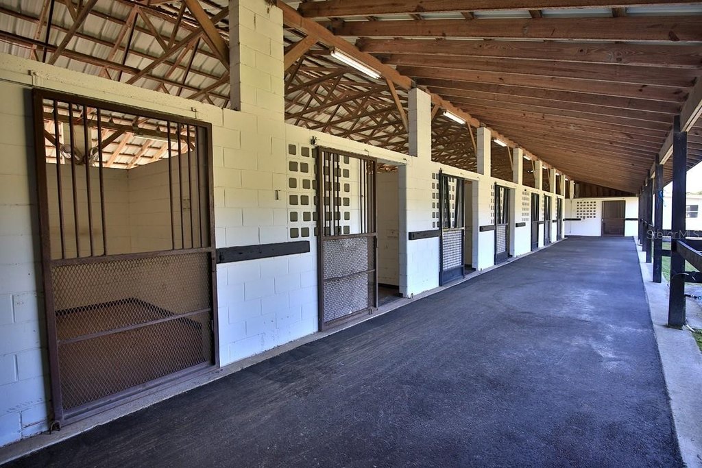 MORRISTON, Florida, 32668, United States, 5 Bedrooms Bedrooms, ,3 BathroomsBathrooms,Residential,Forsale,1969792