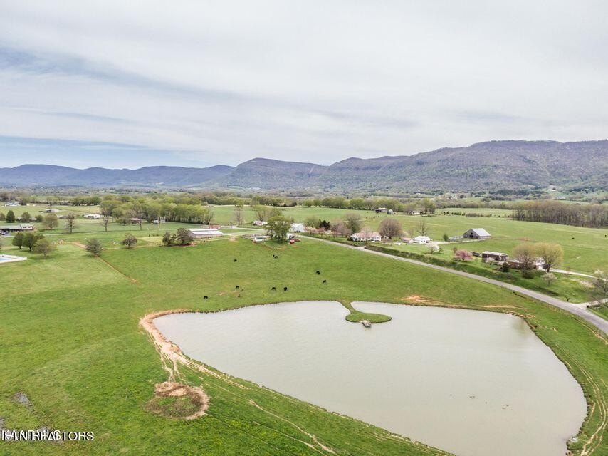 Pikeville, Tennessee, 37367, United States, 5 Bedrooms Bedrooms, ,5.5 BathroomsBathrooms,Residential,Forsale,1929853