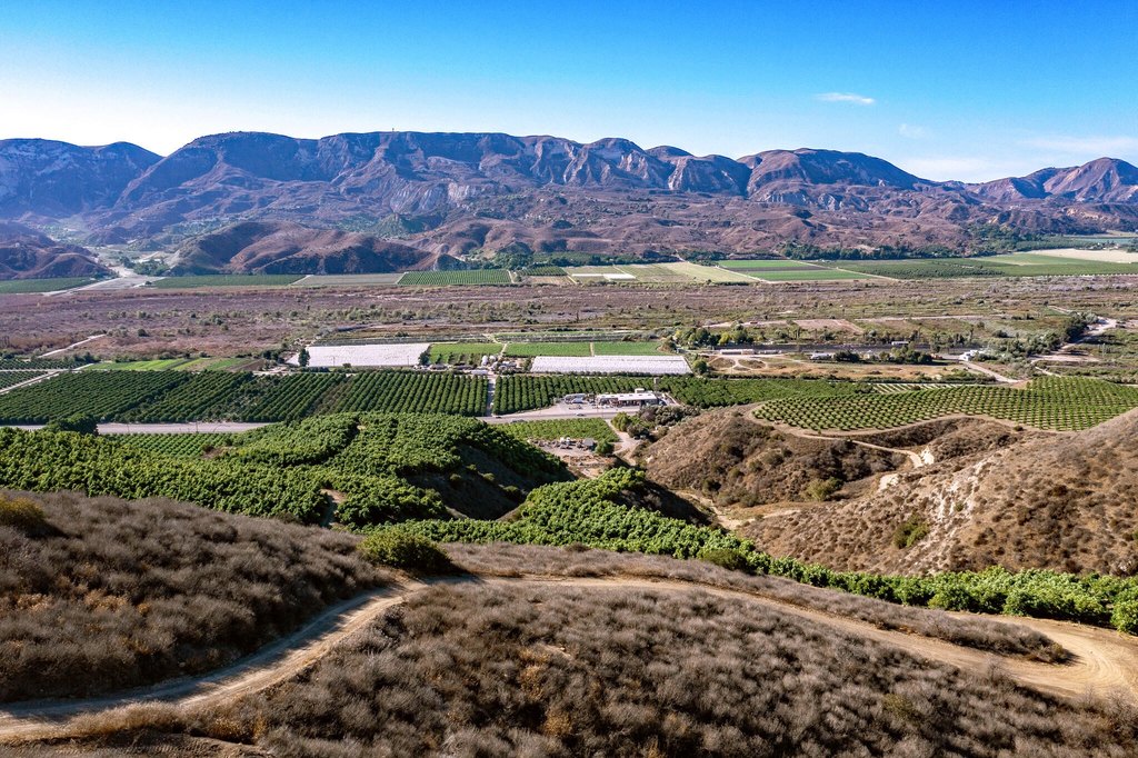 FILLMORE, California, 93015, United States, ,Commercial,Forsale,1964338 FILLMORE, California, 93015, United States, ,Commercial,Forsale,1964338