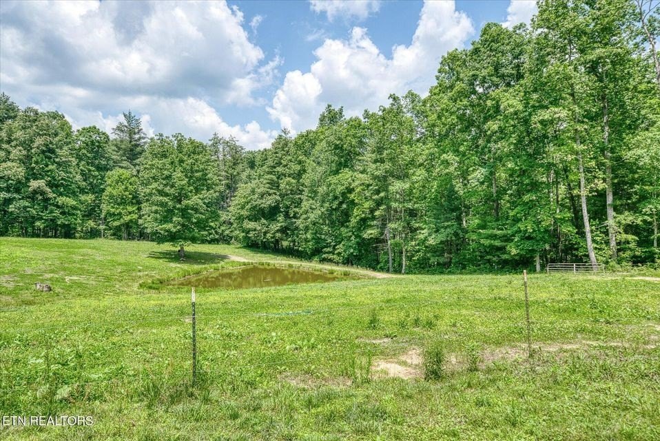 Deer Lodge, Tennessee, 37726, United States, 6 Bedrooms Bedrooms, ,2 BathroomsBathrooms,Residential,Forsale,1929820