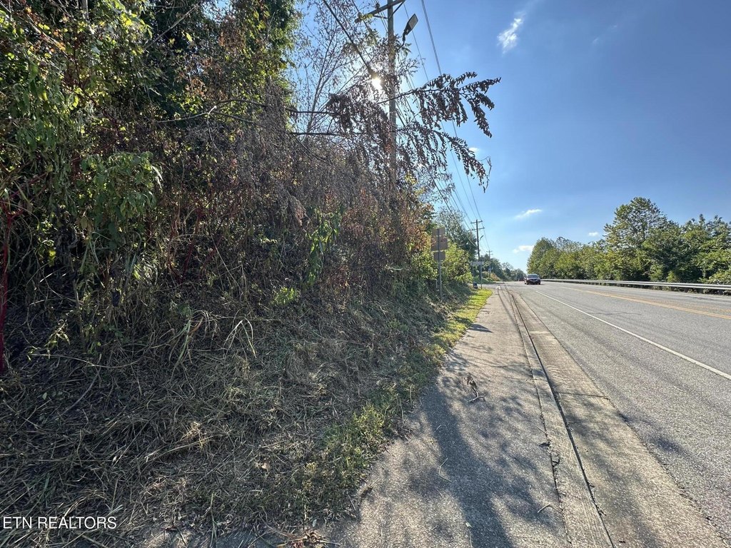 Tellico Plains, Tennessee, 37385, United States, ,Land,Forsale,1996595