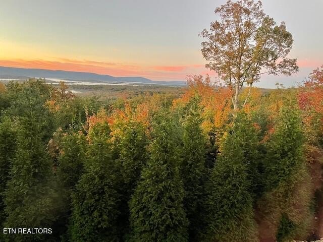 Crossville, Tennessee, 38558, United States, 4 Bedrooms Bedrooms, ,2.5 BathroomsBathrooms,Residential,Forsale,1929843