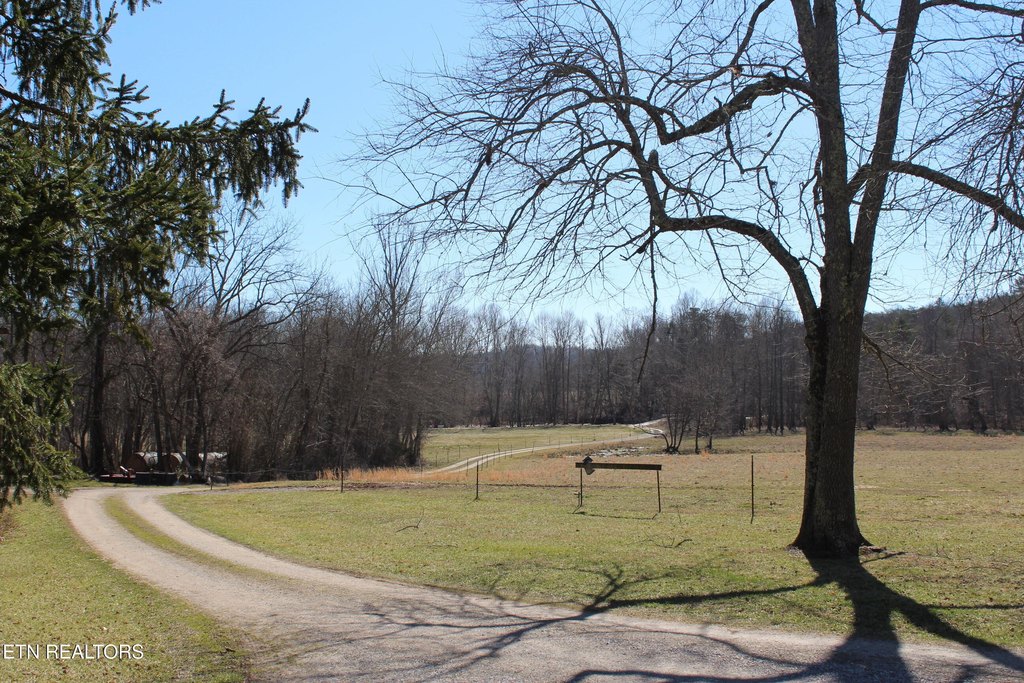 Jamestown, Tennessee, 38556, United States, 3 Bedrooms Bedrooms, ,1 BathroomBathrooms,Residential,Forsale,1885987