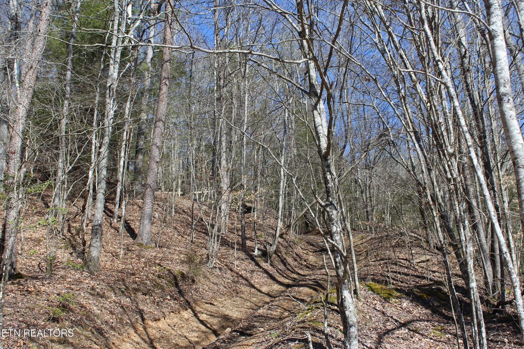 Jamestown, Tennessee, 38556, United States, 3 Bedrooms Bedrooms, ,1 BathroomBathrooms,Residential,Forsale,1885987