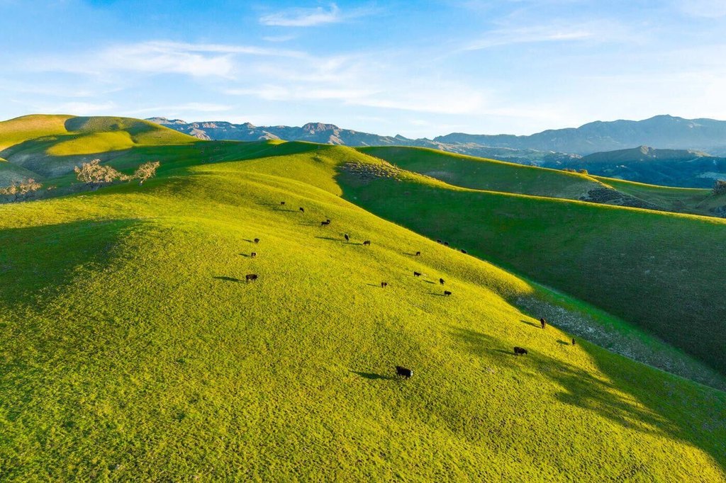 SANTA YNEZ, California, 93460, United States, 45 Bedrooms Bedrooms, ,46 BathroomsBathrooms,Residential,Forsale,2004322