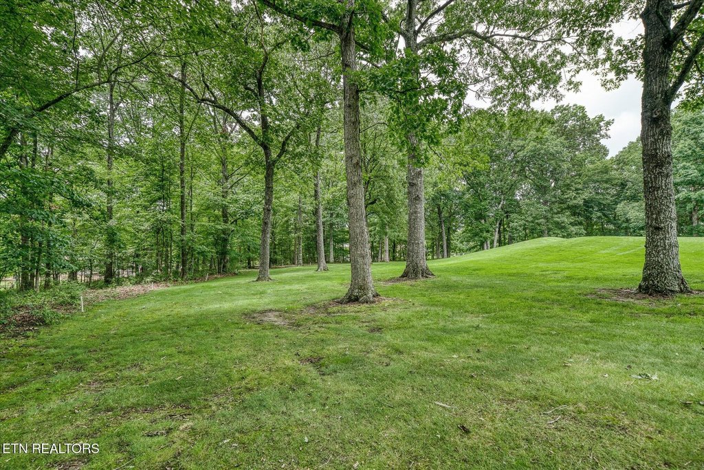 Crossville, Tennessee, 38558, United States, 3 Bedrooms Bedrooms, ,2 BathroomsBathrooms,Residential,Forsale,1953765