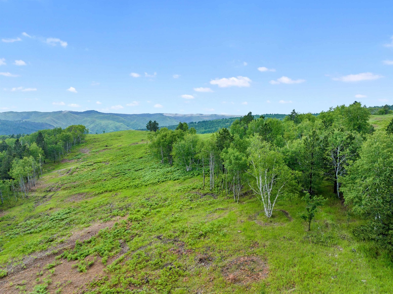 Deadwood, South Dakota, 57732, United States, ,Land,Forsale,1990702