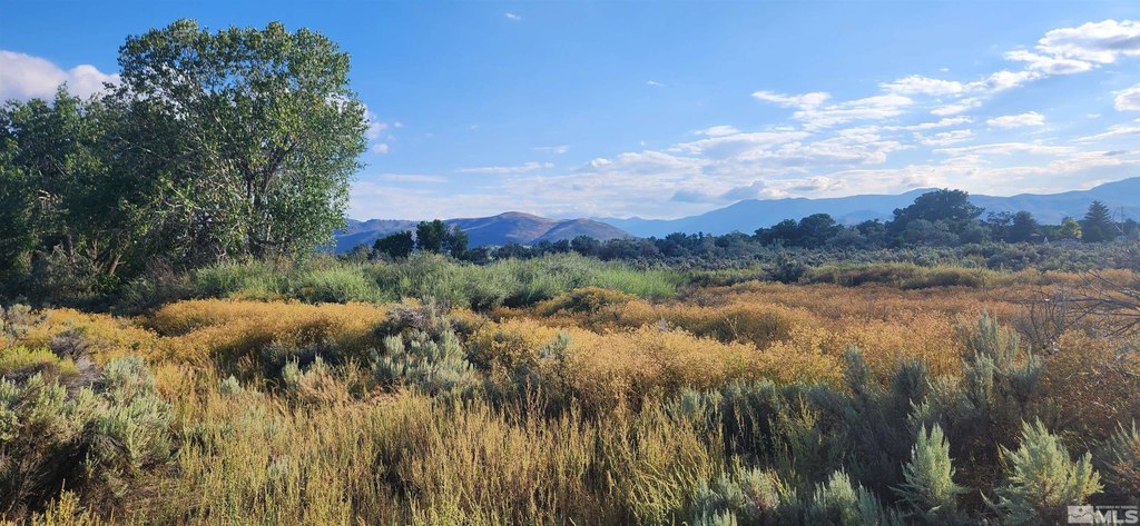 Carson City, Nevada, 89701, United States, ,Land,Forsale,1886495