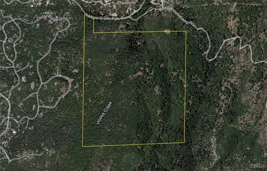 Cedar Glen, California, 92321, United States, ,Land,Forsale,2004858