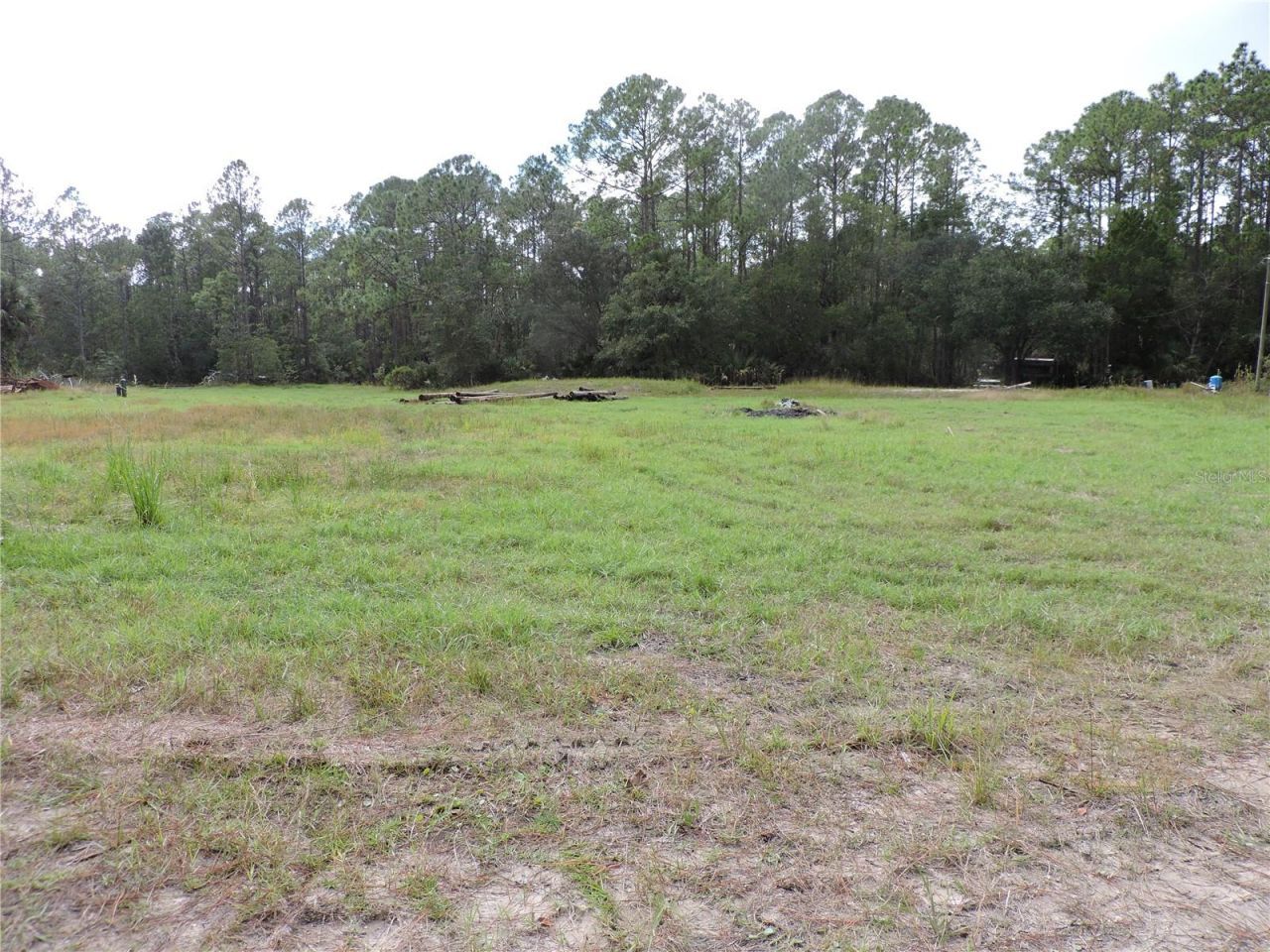 Bunnell, Florida, 32110, United States, ,Land,Forsale,1993763
