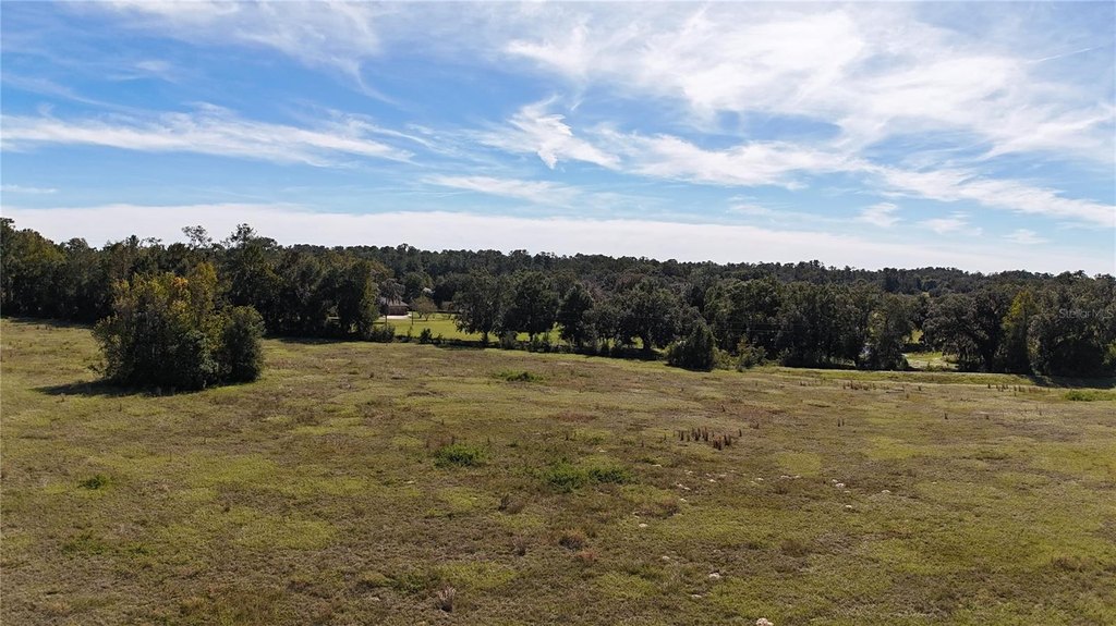 OCALA, Florida, 34482, United States, ,Land,Forsale,1994133