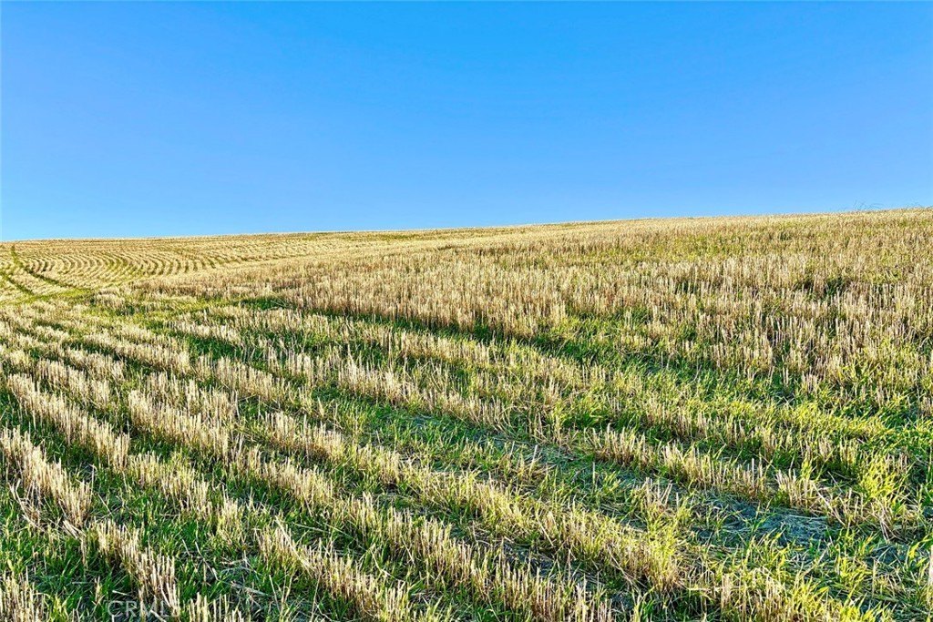 Shandon, California, 93461, United States, ,Land,Forsale,2004821