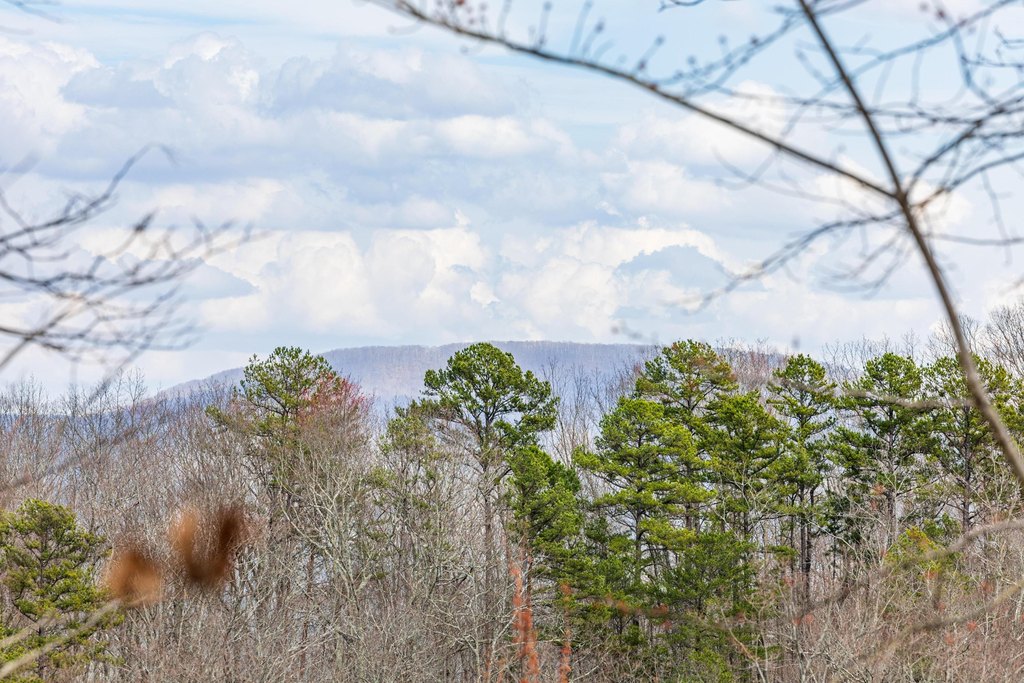 Pikeville, Tennessee, 37367, United States, ,Land,Forsale,2004680