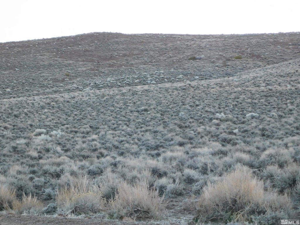 Dayton, Nevada, 89403, United States, ,Land,Forsale,1886494