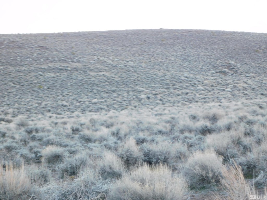 Dayton, Nevada, 89403, United States, ,Land,Forsale,1886494