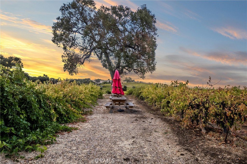 Paso Robles, California, 93446, United States, ,Land,Forsale,1997699