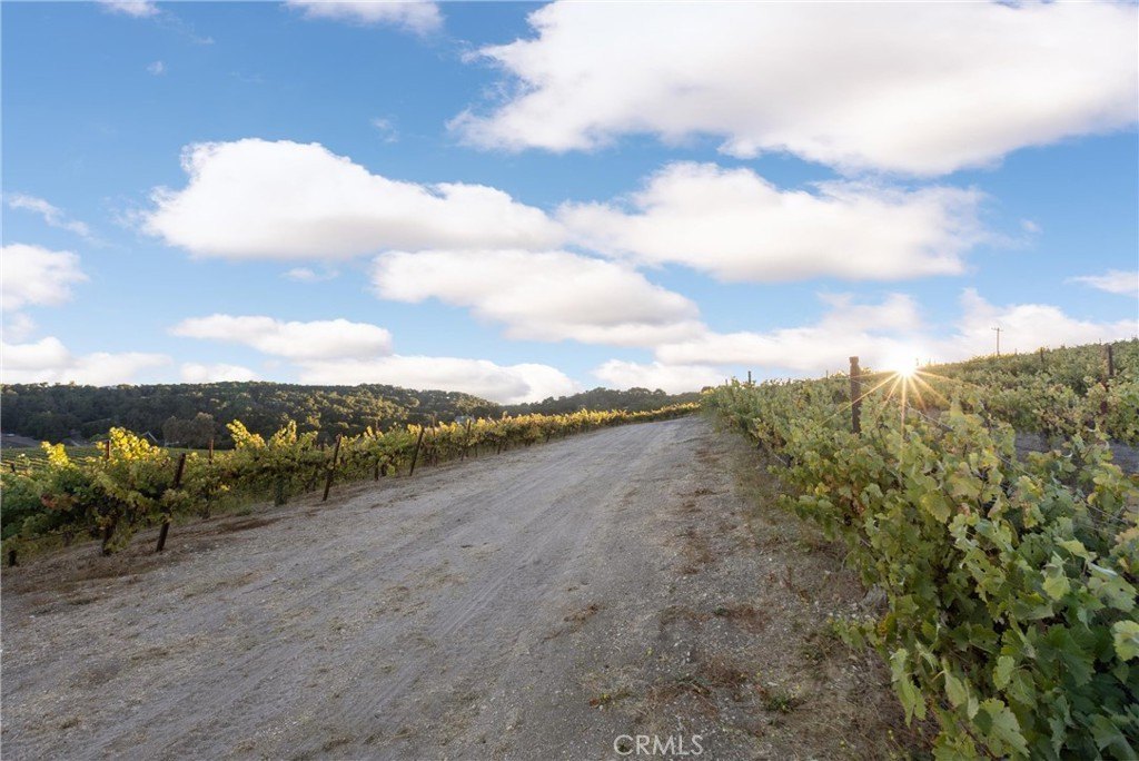 Paso Robles, California, 93446, United States, ,Land,Forsale,1997699