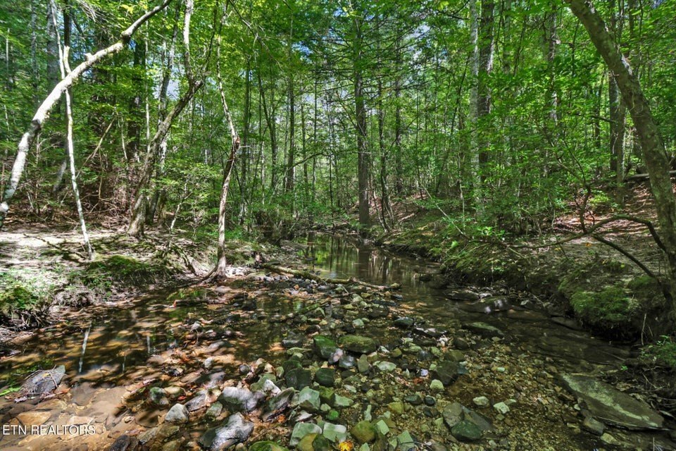 Jamestown, Tennessee, 38556, United States, 3 Bedrooms Bedrooms, ,2.5 BathroomsBathrooms,Residential,Forsale,1968510