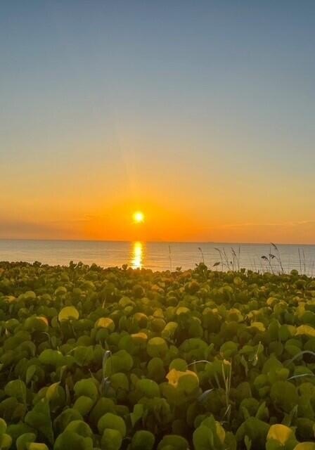 Ocean Ridge, Florida, 33435, United States, 3 Bedrooms Bedrooms, ,3 BathroomsBathrooms,Residential,Forsale,2009926