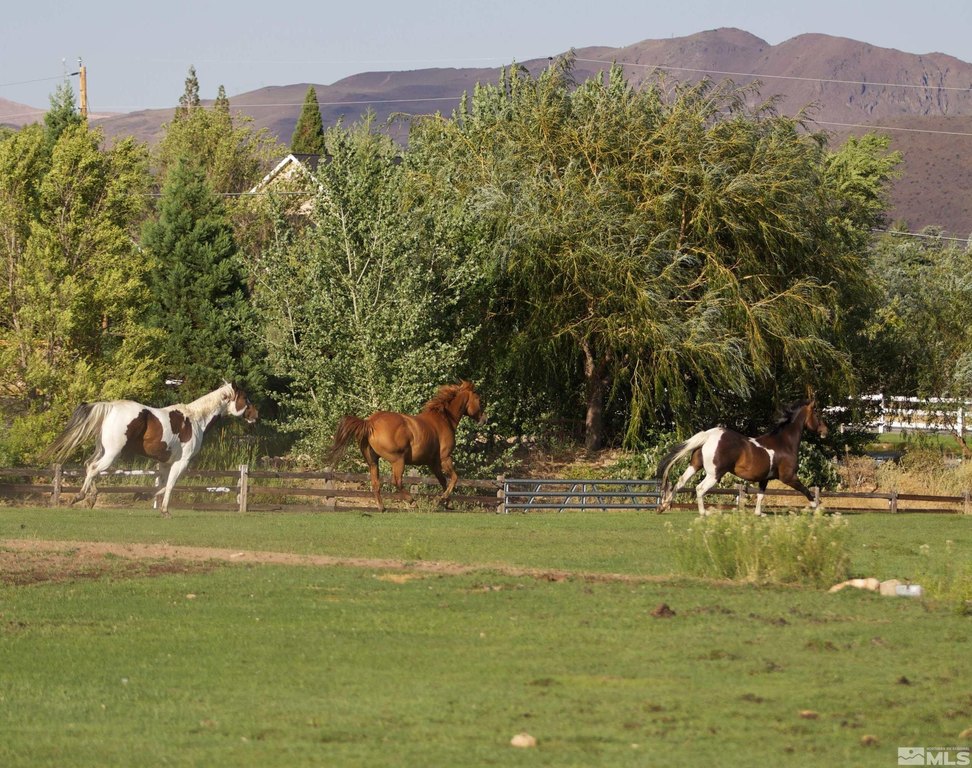 Reno, Nevada, 89511, United States, ,Land,Forsale,1985899