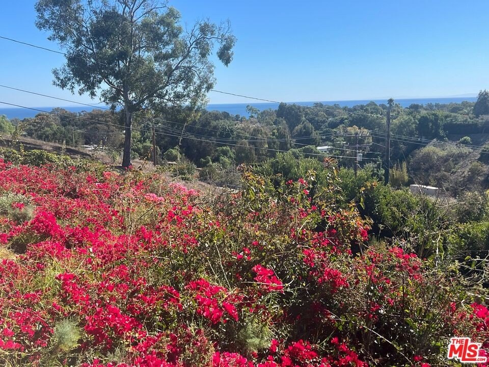 Malibu, California, 90265, United States, ,Land,Forsale,2001392