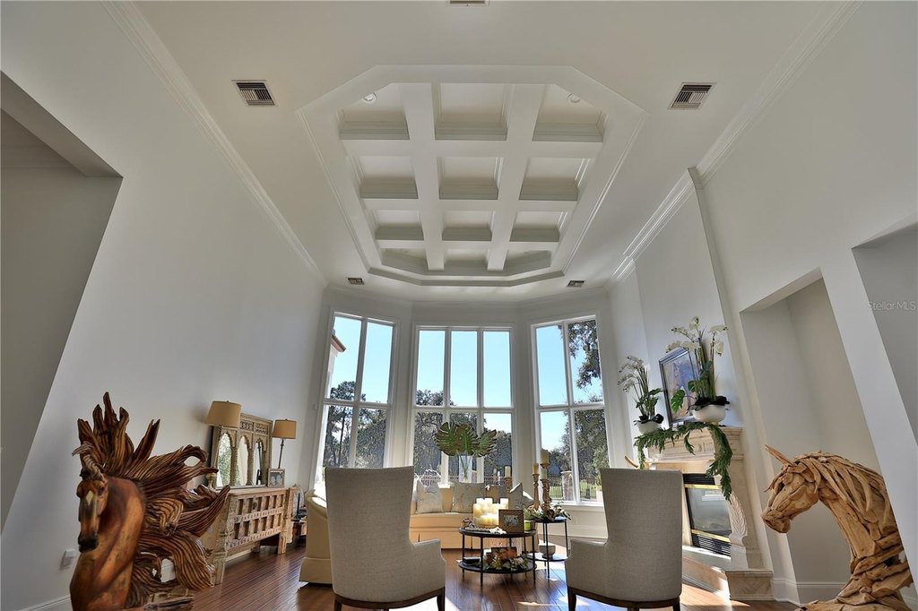 OCALA, Florida, 34480, United States, 4 Bedrooms Bedrooms, ,5.5 BathroomsBathrooms,Residential,Forsale,2004582