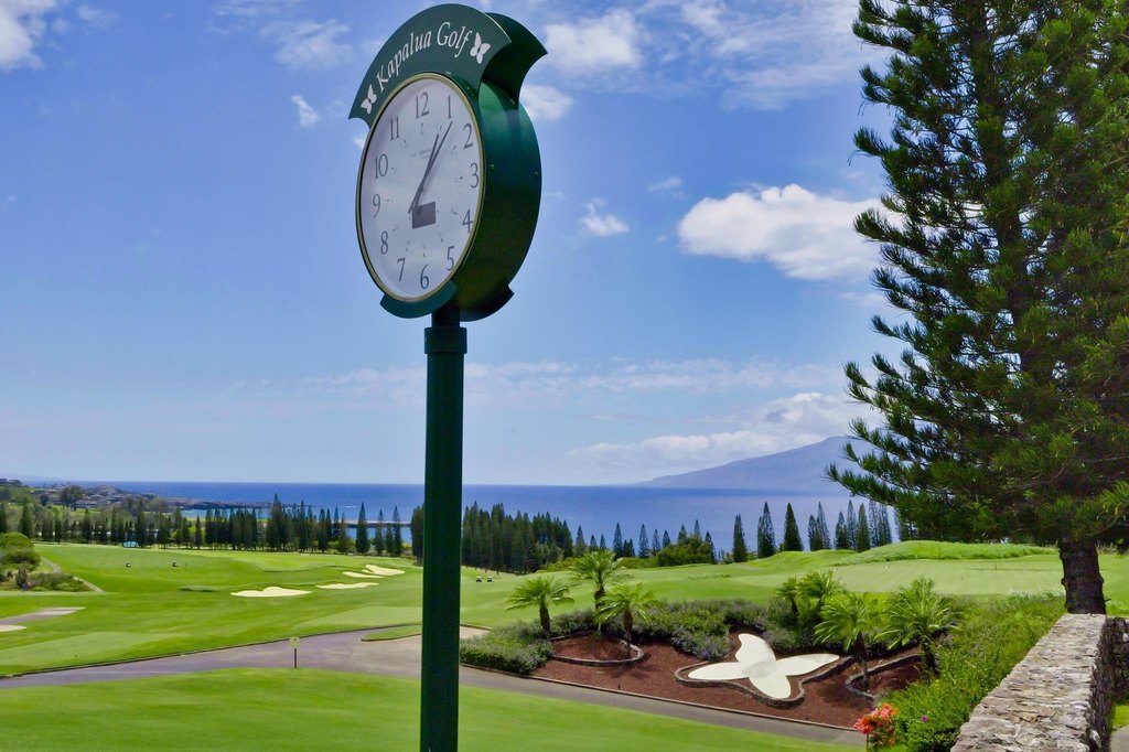 Lahaina, Hawaii, 96761, United States, ,Land,Forsale,2009551