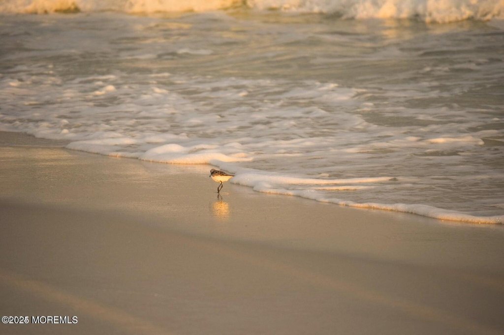 Seaside Heights, New Jersey, 08751, United States, 3 Bedrooms Bedrooms, ,2.5 BathroomsBathrooms,Residential,Forsale,2004844