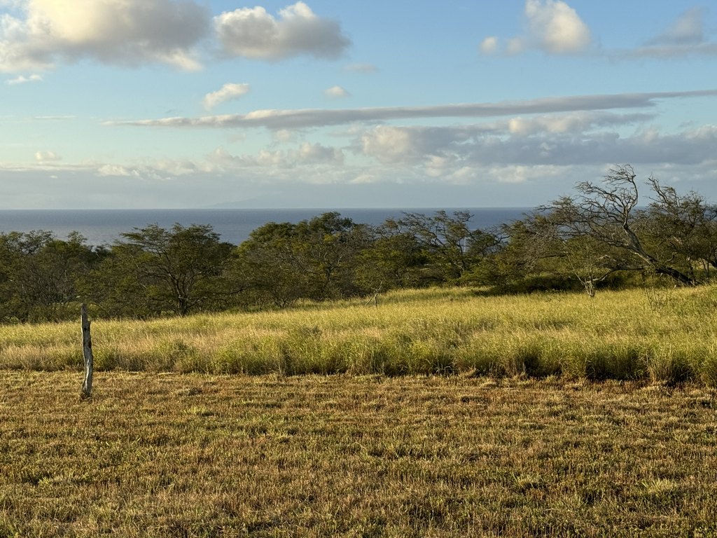 Hawi, Hawaii, 96719, United States, ,Land,Forsale,1886637