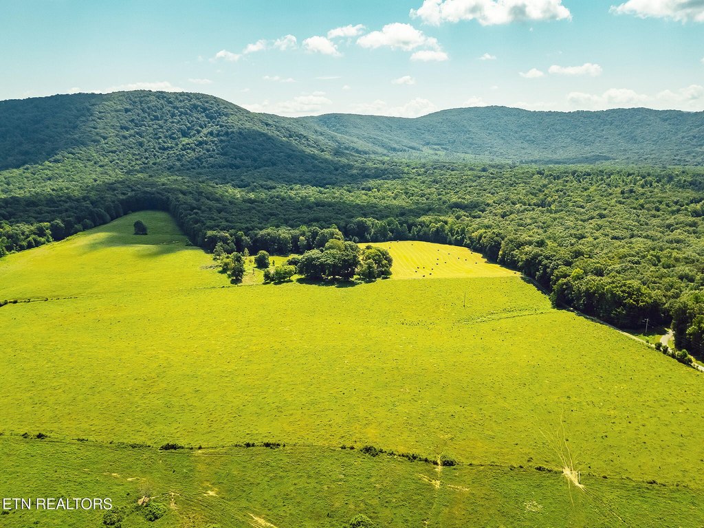 Sunbright, Tennessee, 37872, United States, ,Land,Forsale,1910240