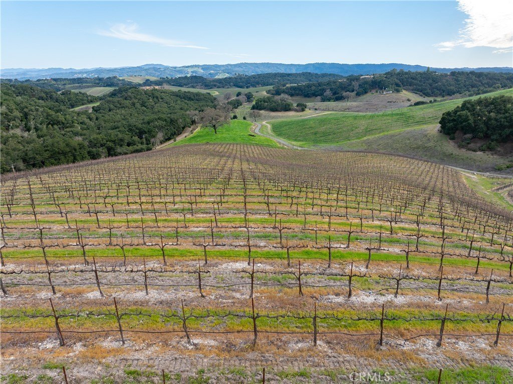 Paso Robles, California, 93446, United States, ,Commercial,Forsale,2009040