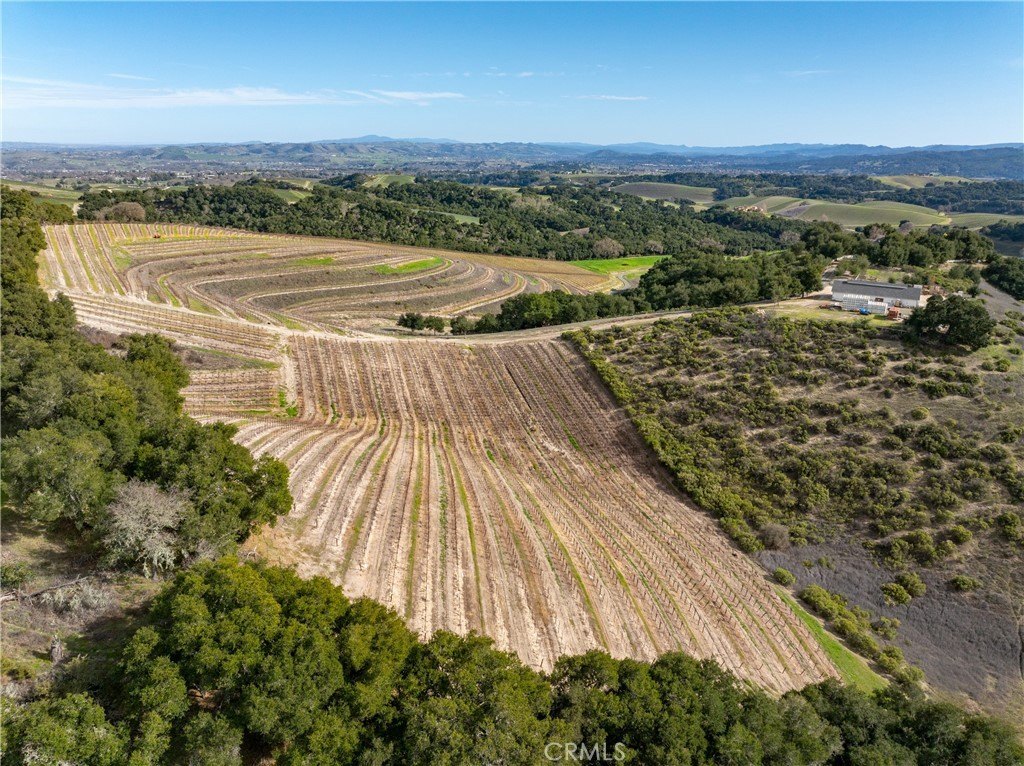 Paso Robles, California, 93446, United States, ,Commercial,Forsale,2009040