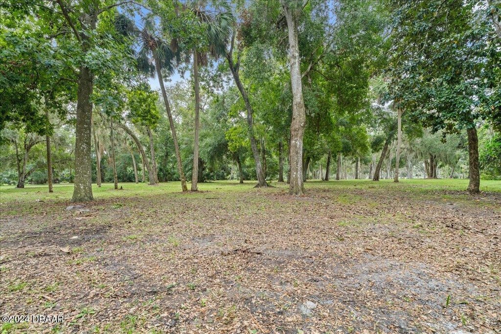 Flagler Beach, Florida, 32136, United States, ,Land,Forsale,2002762
