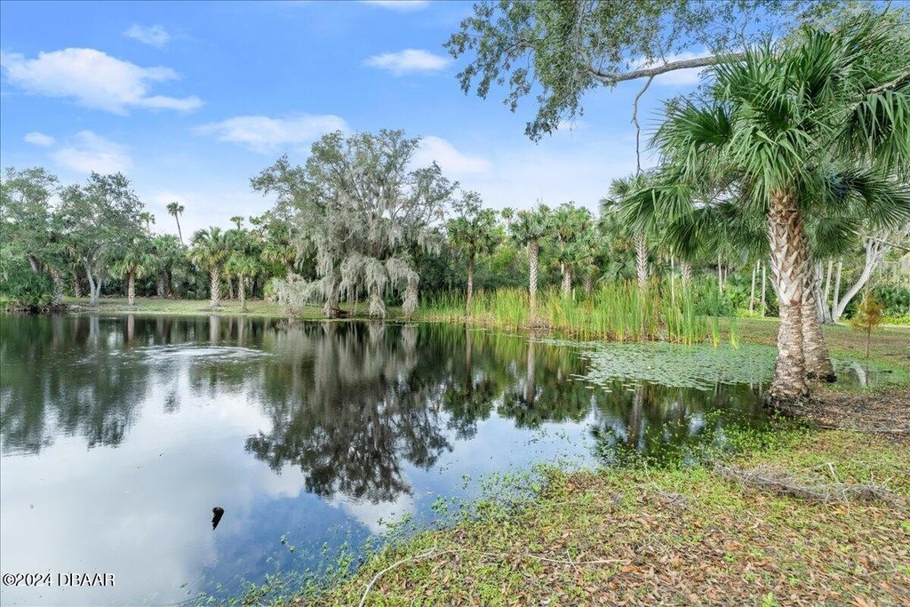 Flagler Beach, Florida, 32136, United States, ,Land,Forsale,2002762