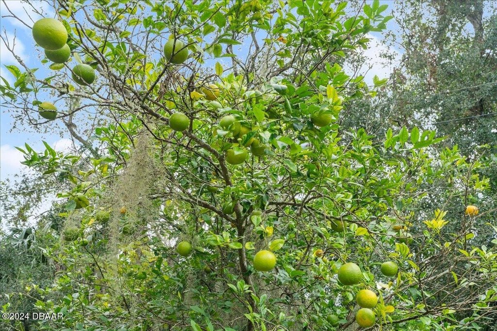 Flagler Beach, Florida, 32136, United States, ,Land,Forsale,2002762
