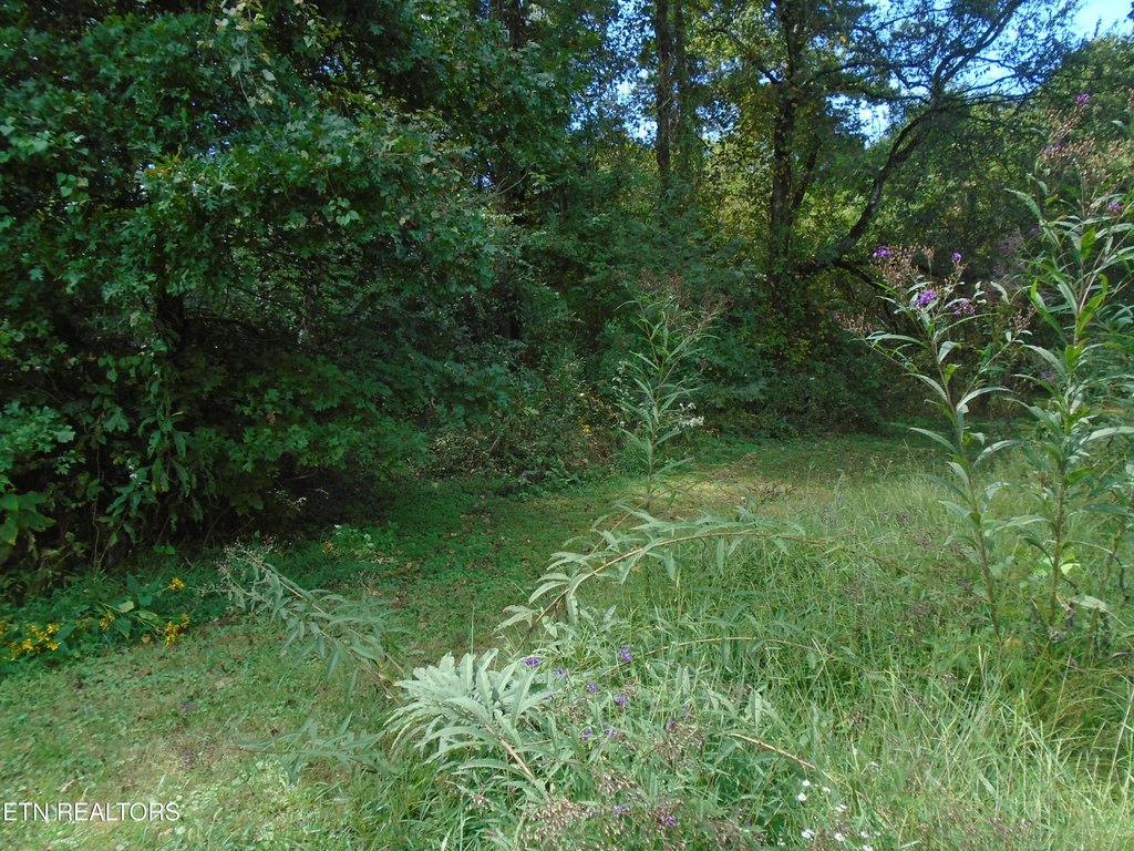 Friendsville, Tennessee, 37737, United States, 3 Bedrooms Bedrooms, ,2 BathroomsBathrooms,Residential,Forsale,1973588