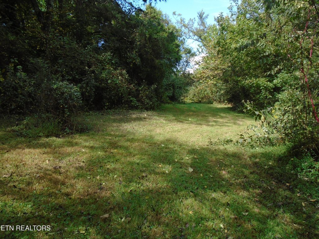 Friendsville, Tennessee, 37737, United States, 3 Bedrooms Bedrooms, ,2 BathroomsBathrooms,Residential,Forsale,1973588