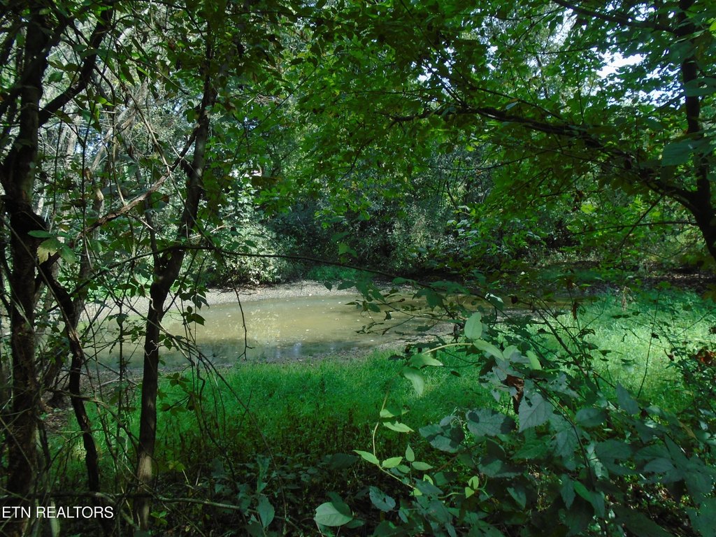 Friendsville, Tennessee, 37737, United States, 3 Bedrooms Bedrooms, ,2 BathroomsBathrooms,Residential,Forsale,1973588