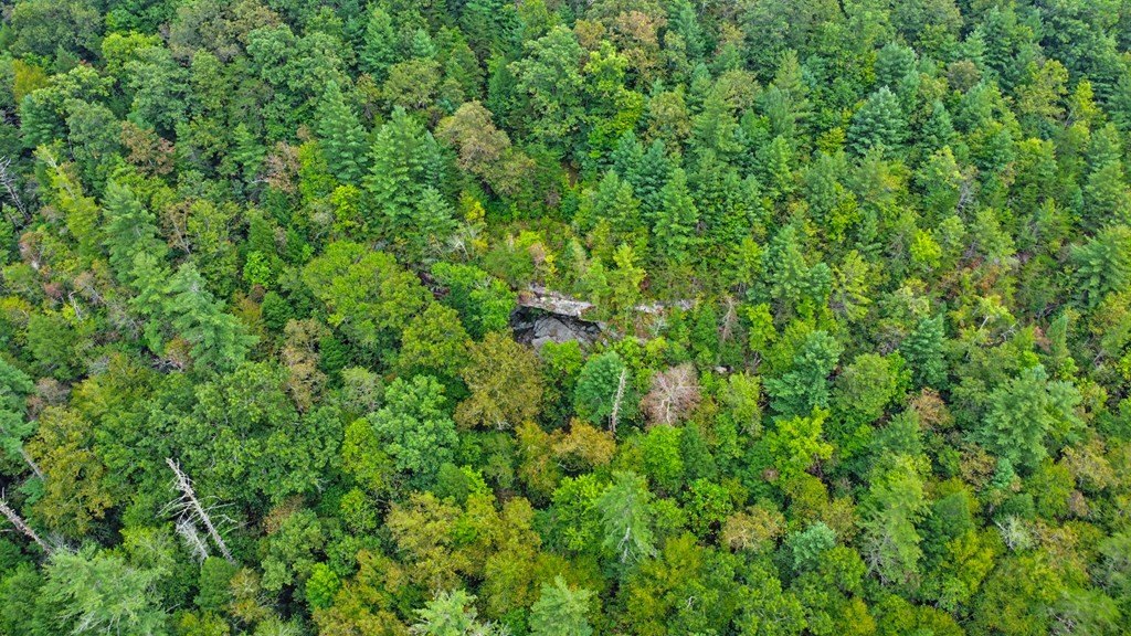 Allardt, Tennessee, 38504, United States, 2 Bedrooms Bedrooms, ,2 BathroomsBathrooms,Residential,Forsale,1953791